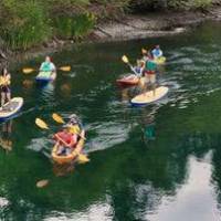 a group of people kayaking in a body of water