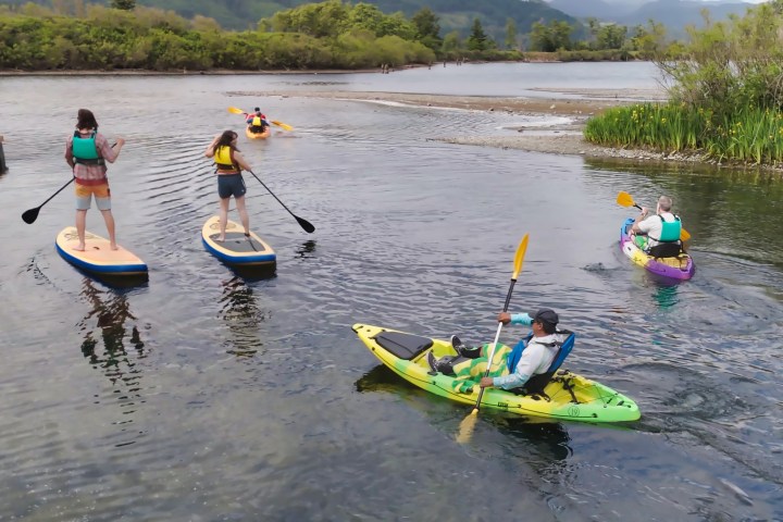 a group of people riding kayaks on a body of water
